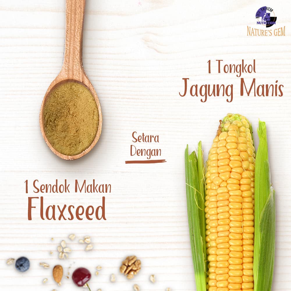 makanan tinggi serat, tips diet sehat, cara diet sehat
menu sarapan pagi
apa itu flaxseed
makanan tinggi serat
pola makan sehat
cara mencegah kanker
cara mencegah diabetes
makanan tinggi protein
susu protein tinggi
manfaat omega 3
susu tanpa lemak
